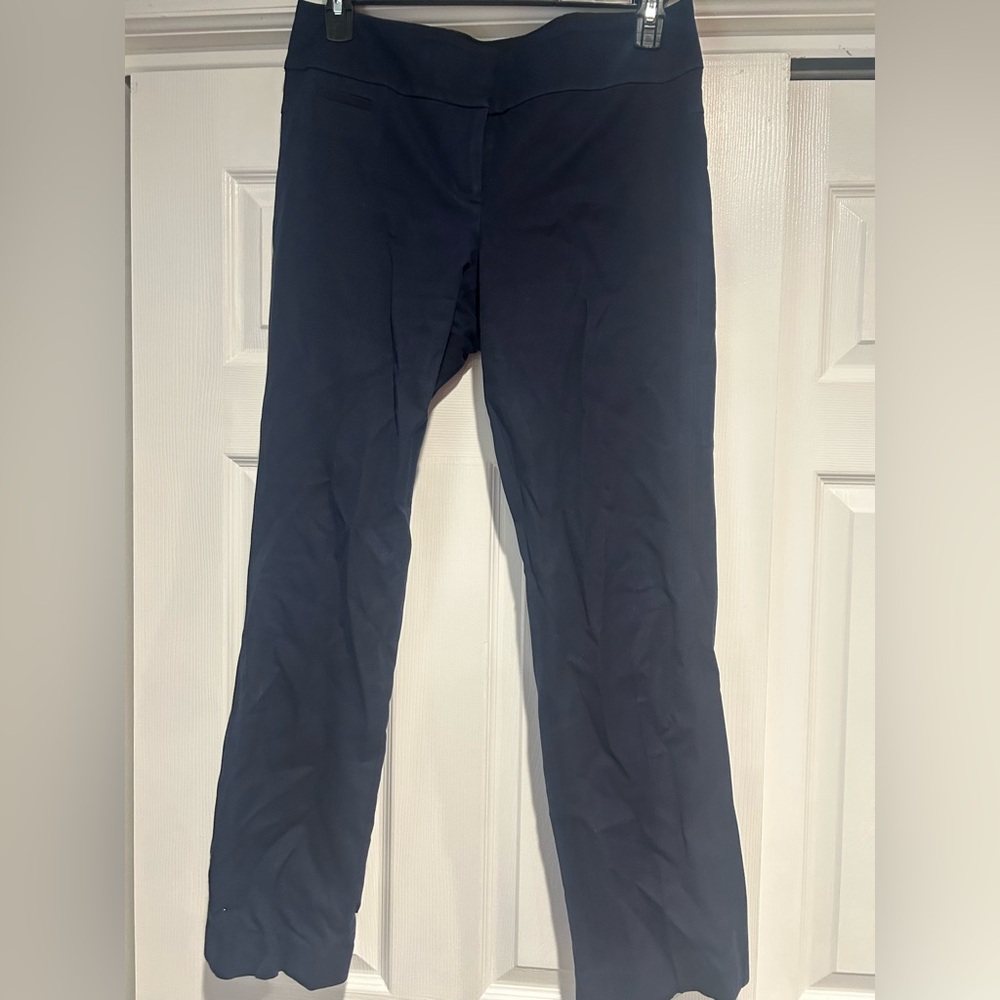 Ann Taylor Navy Straight Leg Women's Pants